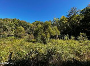 Laurel Fork Rd, Frakes, KY 40940