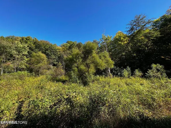 Laurel Fork Rd, Frakes, KY 40940