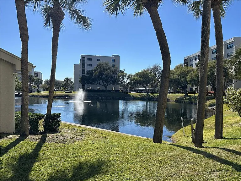 1316 Pasadena Ave S #202 — Photo 43