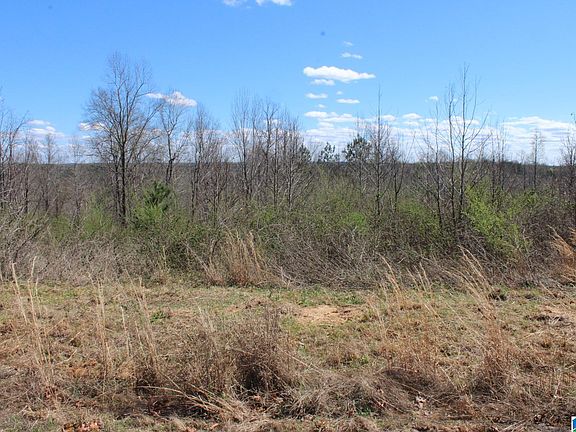 3rd image of LOT 51 County Road 367 Lot 51