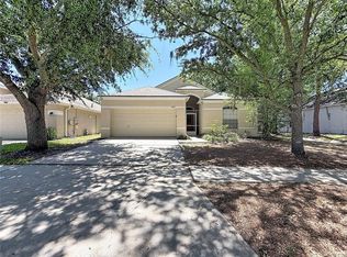6932 Monarch Park Dr, Apollo Beach, FL 33572