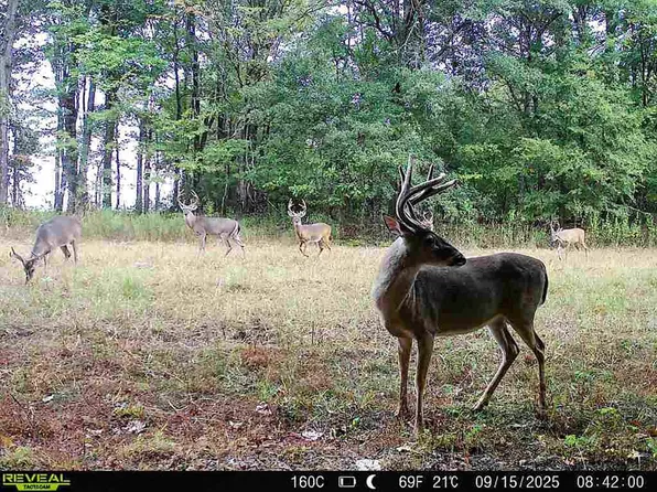 6075 Curtis Rd, Batesville, MS 38606