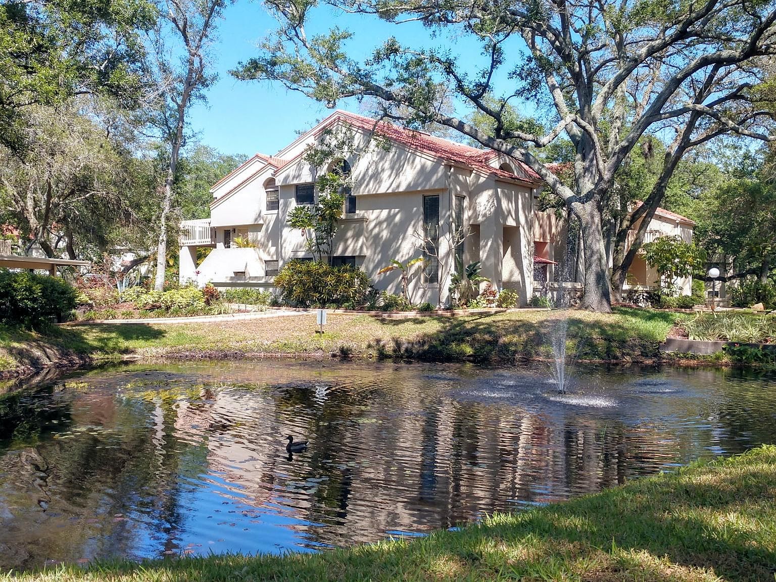 214 Los Prados Dr, Safety Harbor, FL 34695 Zillow