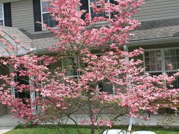 808 Brushy Mountain Rd, East Stroudsburg, PA 18301