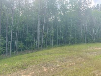 0 Jerusalem Farms Dr #11, Jasper, GA, 30143