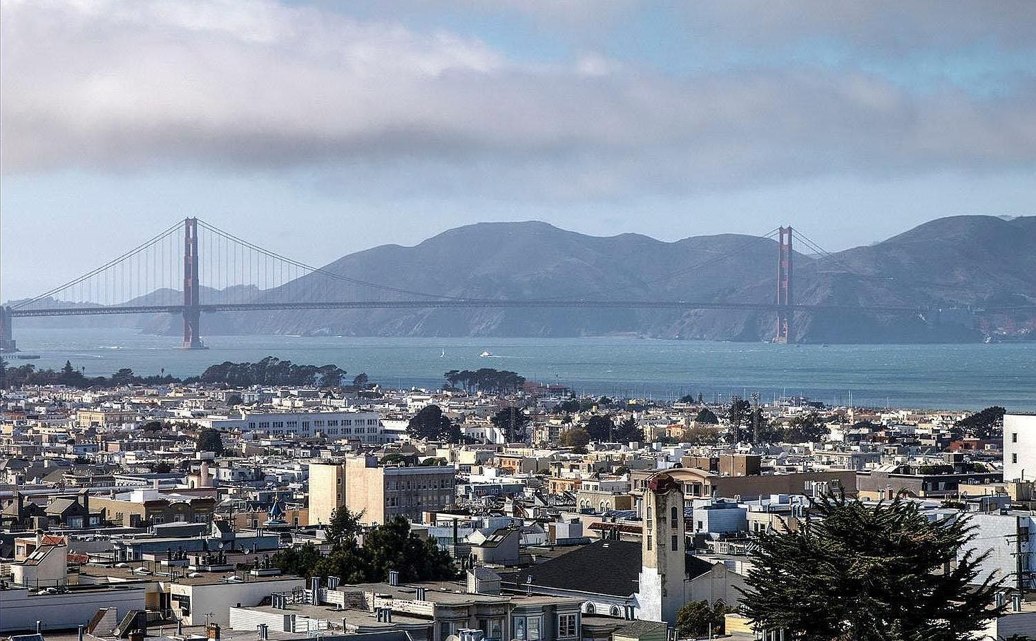 1355 Pacific Ave, San Francisco, CA 94109 | Zillow
