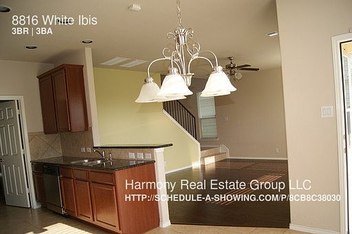 4th image of 8816 White Ibis Dr