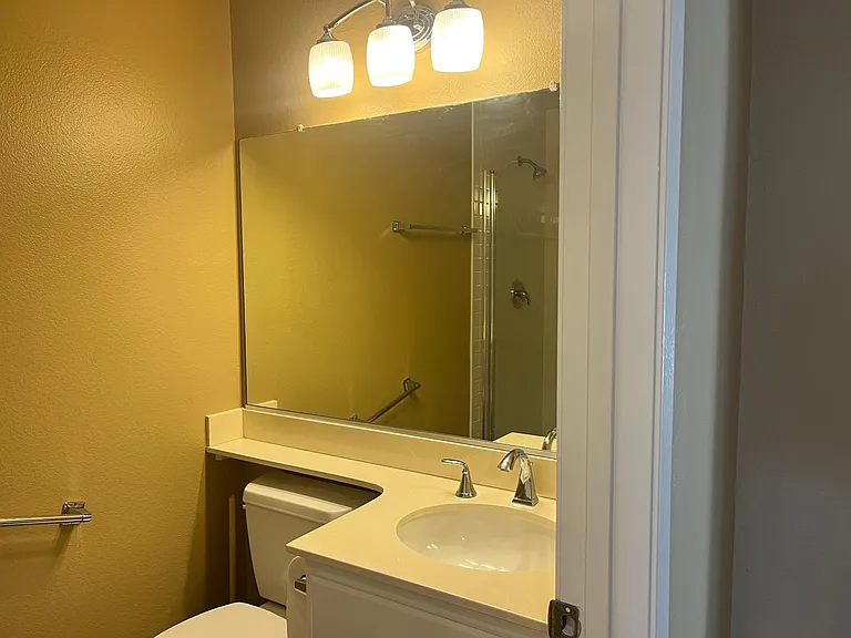 HALL BATHROOM WITH NEW TILE SHOWER