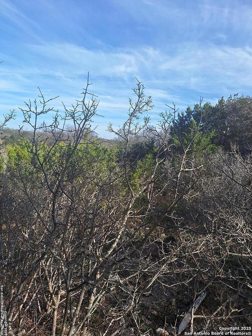 1284 levi English LOT 1284