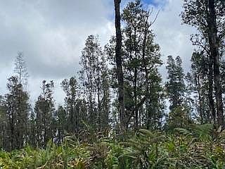 4th image of Plumeria St Lot 6308