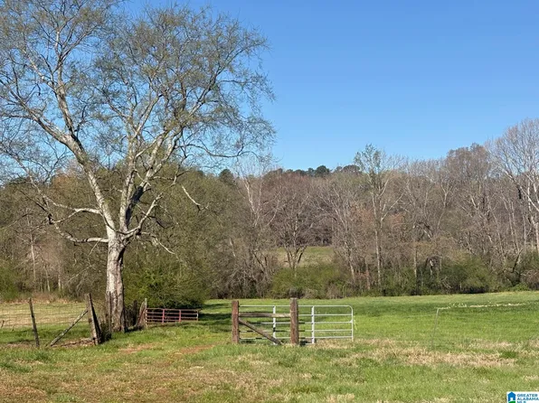 10940 Gallups Xrds #3, Harpersville, AL 35078