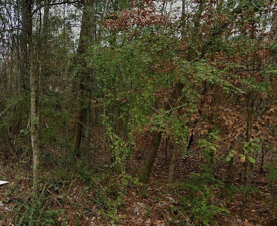 1st image of 71 Gamma Ave