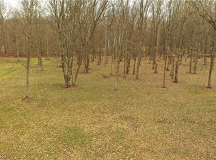 535 Bell Ave, Columbiana, OH