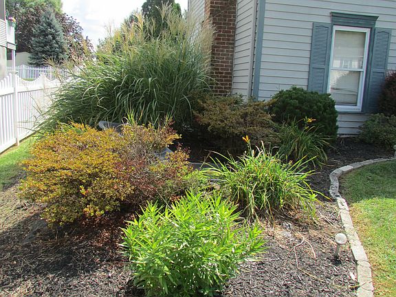 There's a pond here!