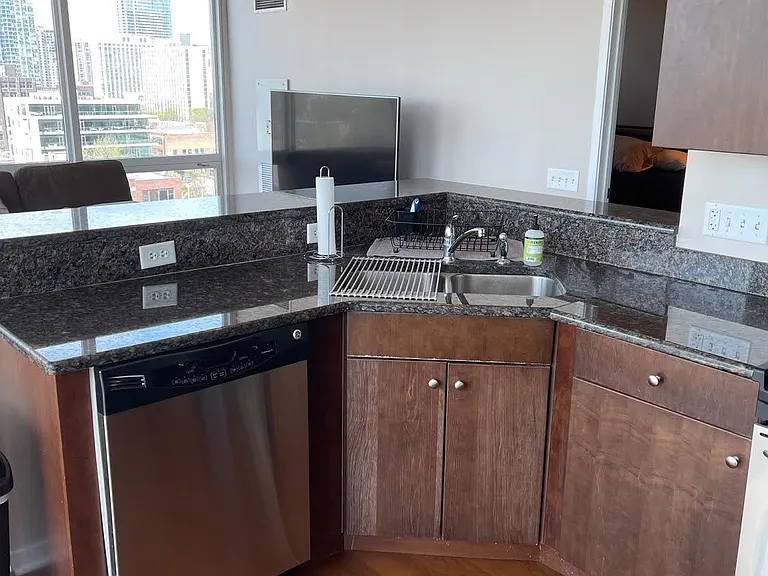 757 N Orleans St #909 — Photo 11
