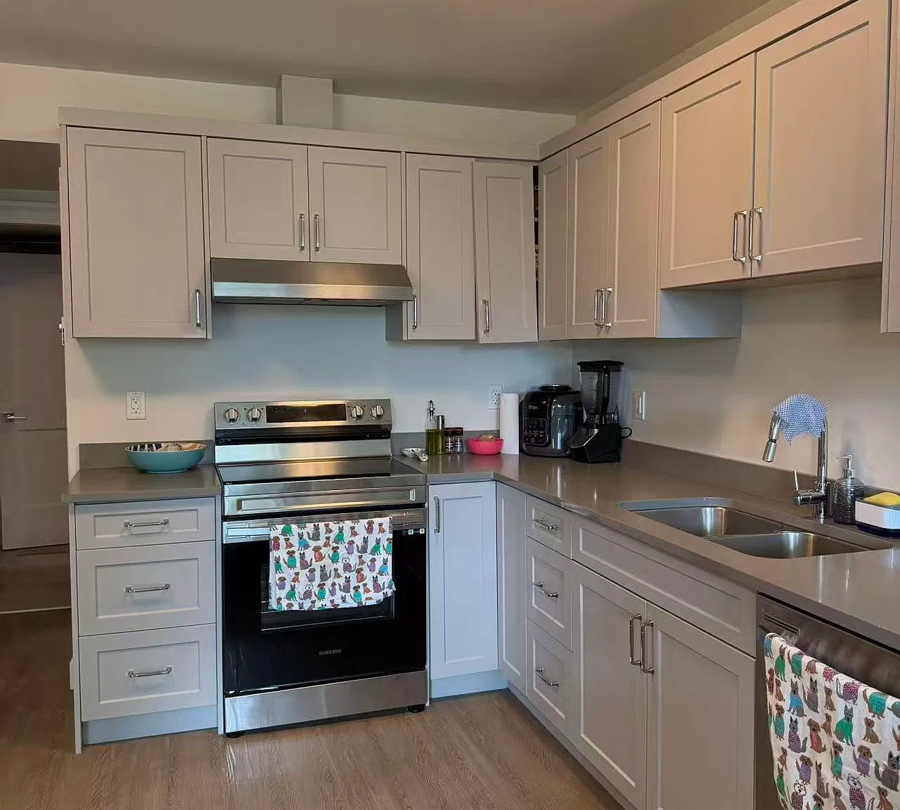 1 bed, 900 sqft, $1,500 — Photo 1