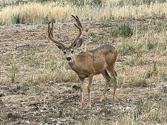 3rd image of 73720 Indian Creek Rd