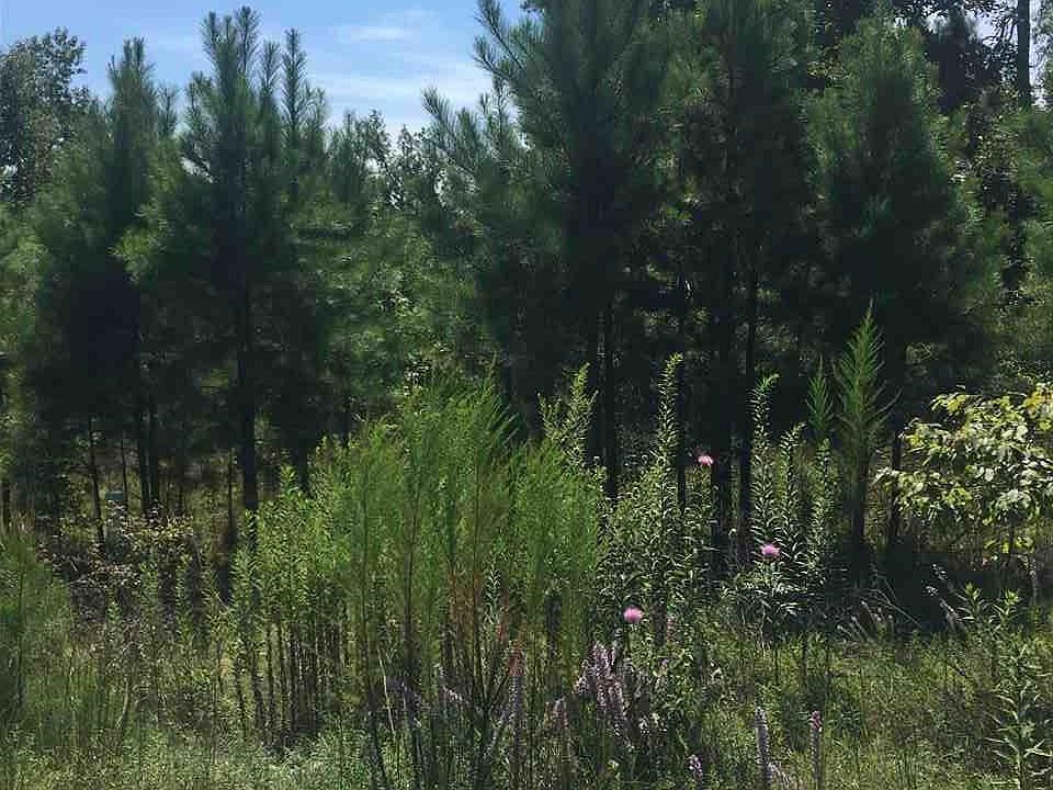 1st image of 15011 Summer Oak Dr