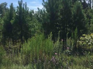 15011 Summer Oak Dr, Mabelvale, AR 72103
