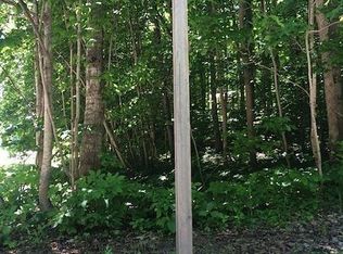 W Hidden Birch Dr, Maple City, MI 49664