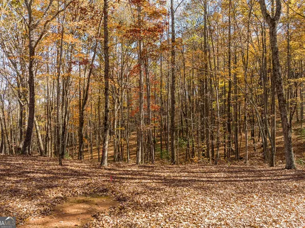 LOT-17R Tanager Trl, Ellijay, GA 30536