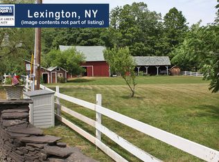 107 Reme Rd, Lexington, NY 12468