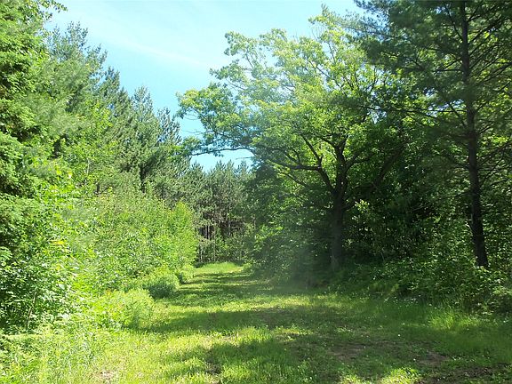 2nd image of XXX Bashaw Store Road