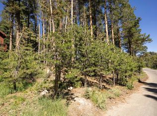 9339 Pahatsi Rd, Soda Springs, CA 95728