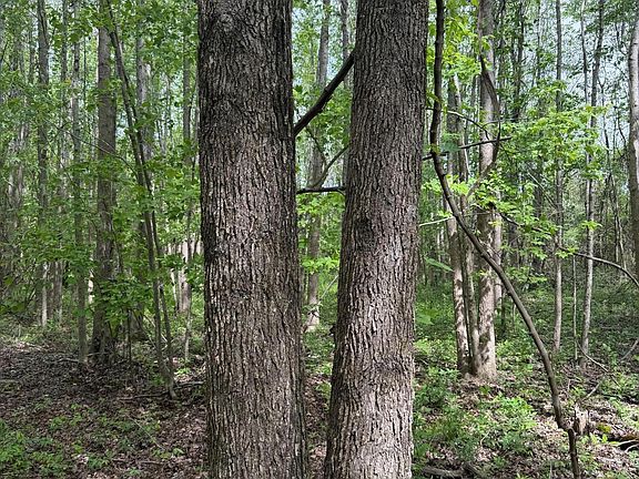 3rd image of Old Jackson Rd