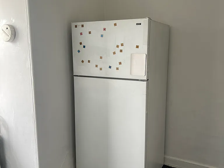 8006 Frankford Ave #3 — Photo 5