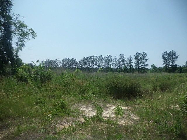 1st image of 5363 Us Highway 401