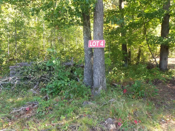 LOT 4 E River Rd, Grantsburg, WI 54840