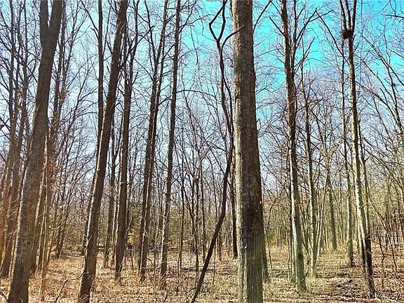 4th image of 0 Phillips Rd