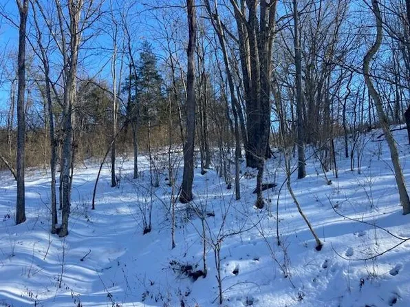 190 Old Carntown Rd, Foster, KY 41043