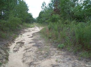 202 Bridlepath Ln, Box Springs, GA 31801