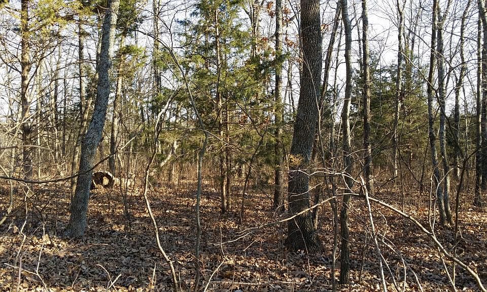 2nd image of 0 Castle Ranch Rd