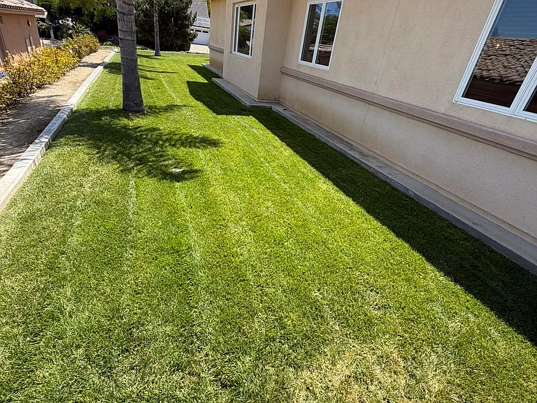 7603 Romeria St — Photo 52