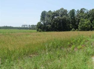 Ralph Rd LOT 3, Galivants Ferry, SC 29544