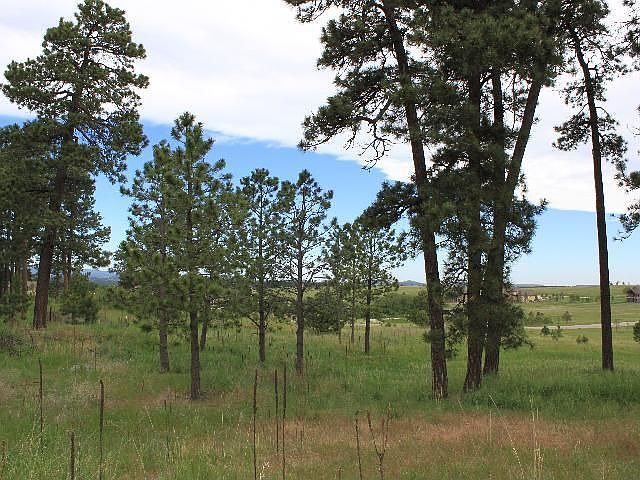 mature trees AND open space