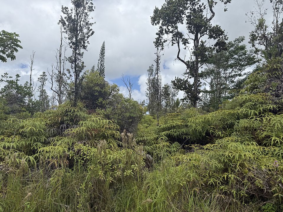 2nd image of King Kamehameha Blvd Lot 30