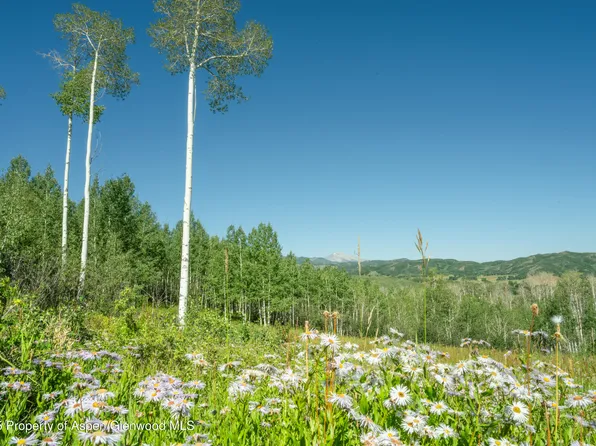1833 W Buttermilk Rd, Aspen, CO 81611