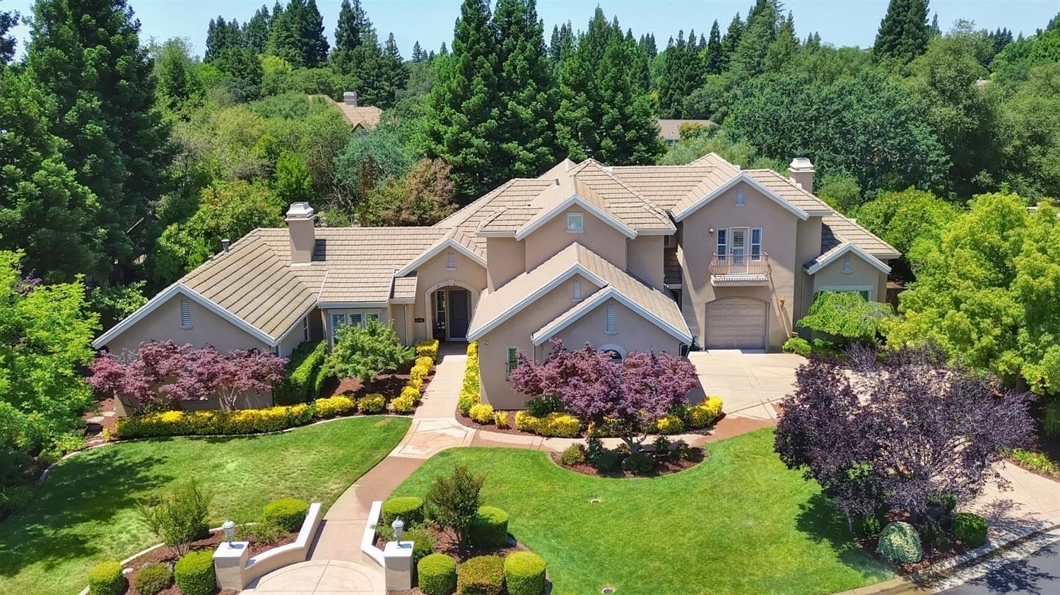 from cat st　10冊 from cat st 10冊 from cat st 10冊 10冊 専用 2025年最新】