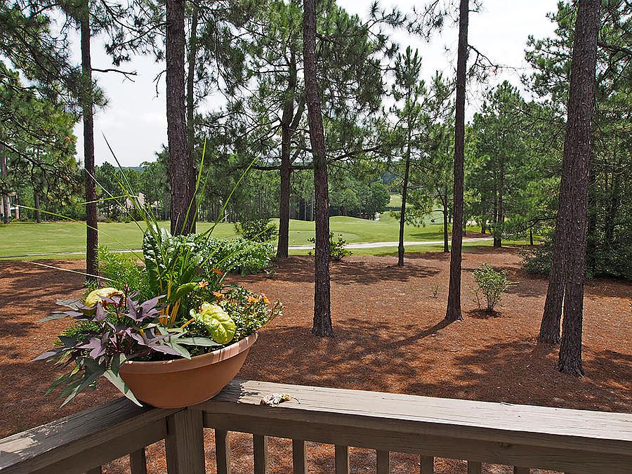 2nd image of 60 Pinewild Dr