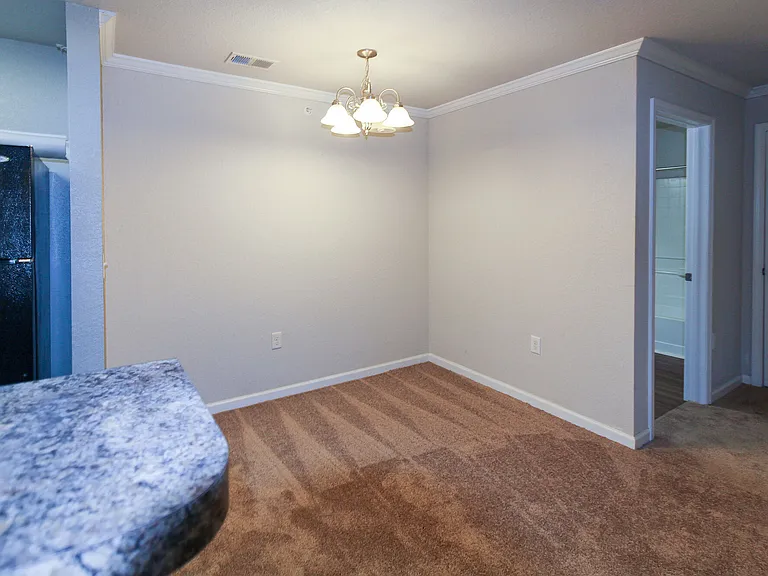 Sizemore Creek Apartments — Photo 9