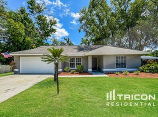 19203 Sunlake Blvd, Lutz, FL 33558