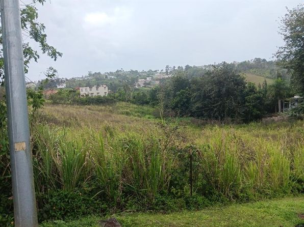 Bo Canaboncito Carr 172 Km 19.0 Sector, Caguas, PR 00727