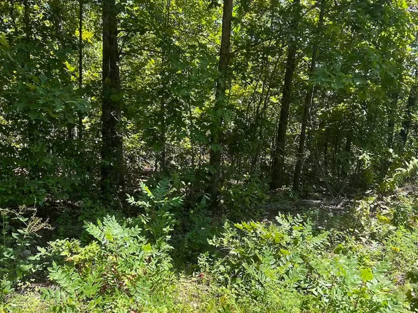 00050 Water Oak Lane, Mammoth Spring, AR 72554