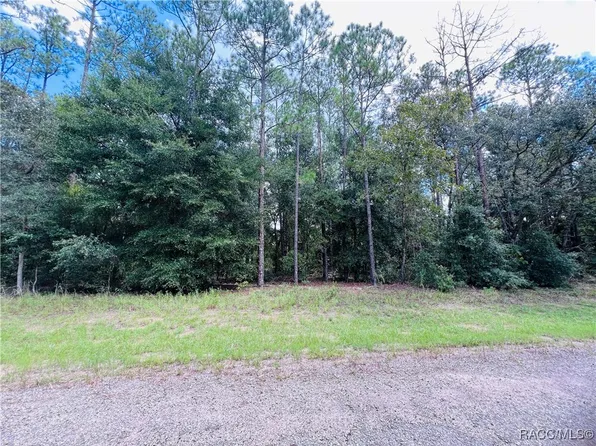 8681 N Wallingford Ave, Citrus Springs, FL 34434