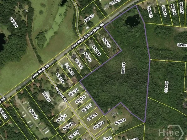 21.57 AC John Wells Road, Hinesville, GA 31313