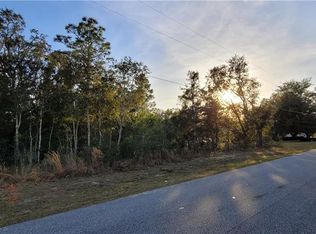 Heron Hills Dr, Spring Hill, FL 34610